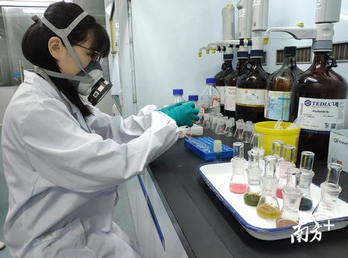 發(fā)揮技術優(yōu)勢，把好發(fā)展關 技術服務助力清遠經濟騰飛